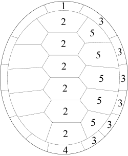 Schéma des plaques de la dossière